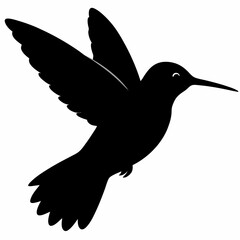 Hummingbird vector illustration, bird isolated on white, Hummingbird silhouette, dove vector art
