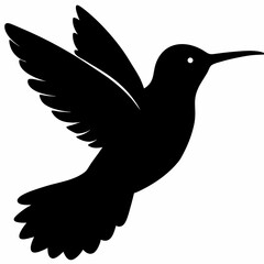 Hummingbird vector illustration, bird isolated on white, Hummingbird silhouette, dove vector art
