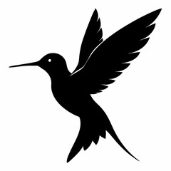 Hummingbird vector illustration, bird isolated on white, Hummingbird silhouette, dove vector art
