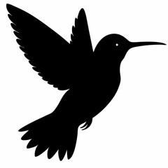 Hummingbird vector illustration, bird isolated on white, Hummingbird silhouette, dove vector art
