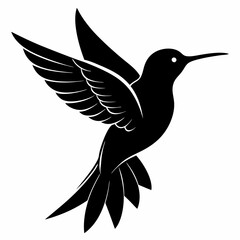 Hummingbird vector illustration, bird isolated on white, Hummingbird silhouette, dove vector art

