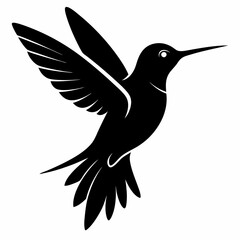 Hummingbird vector illustration, bird isolated on white, Hummingbird silhouette, dove vector art
