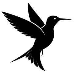 Hummingbird vector illustration, bird isolated on white, Hummingbird silhouette, dove vector art
