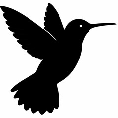 Hummingbird vector illustration, bird isolated on white, Hummingbird silhouette, dove vector art
