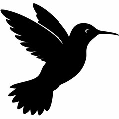 Hummingbird vector illustration, bird isolated on white, Hummingbird silhouette, dove vector art
