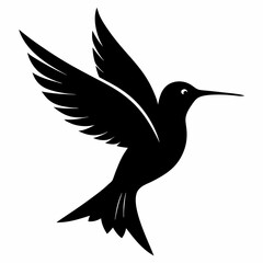 Hummingbird vector illustration, bird isolated on white, Hummingbird silhouette, dove vector art

