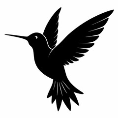 Hummingbird vector illustration, bird isolated on white, Hummingbird silhouette, dove vector art
