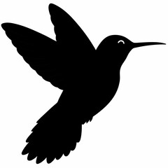 Hummingbird vector illustration, bird isolated on white, Hummingbird silhouette, dove vector art

