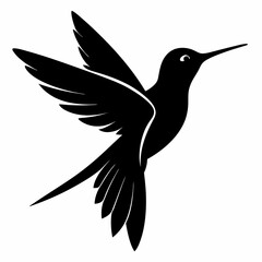 Hummingbird vector illustration, bird isolated on white, Hummingbird silhouette, dove vector art
