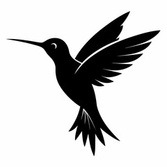 Hummingbird vector illustration, bird isolated on white, Hummingbird silhouette, dove vector art
