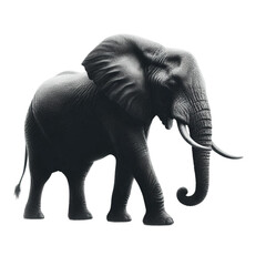 Fototapeta premium A realistic elephant silhouette