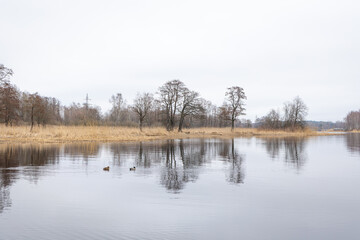 A beautiful overcast spring day landscape at the river. Springtime scenery in Latvia, Northern Europe.