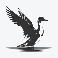 Fototapeta premium Majestic Pintail Silhouette, Capturing Nature's Grace in Shadow