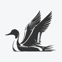 Majestic Pintail Silhouette, Capturing Nature's Grace in Shadow