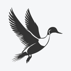 Obraz premium Majestic Pintail Silhouette, Capturing Nature's Grace in Shadow