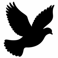 Pigeon vector illustration, animal  isolated on white, Pigeon silhouette, dove vector art
