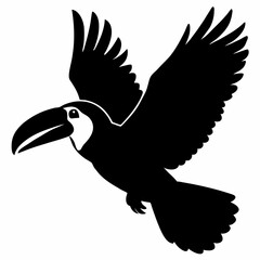 Toucan vector illustration, bird  isolated on white, Toucan silhouette, Toucan vector art