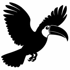 Toucan vector illustration, bird  isolated on white, Toucan silhouette, Toucan vector art