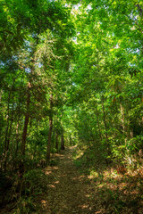 北本自然公園の風景／埼玉県
