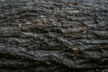 木肌の背景素材
