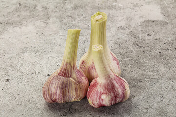 Young garlic heap for cooking