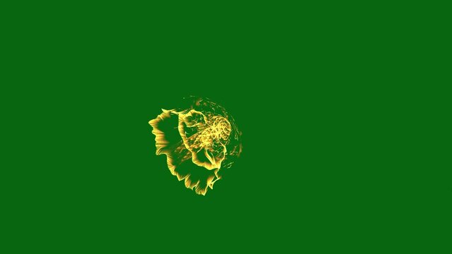 Green Screen Floral Energy Explosion Effect