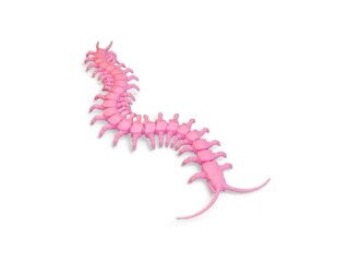 Decorated miniature purple centipede animals on a white background
