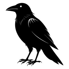 Crow Illustration Vector Art