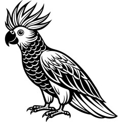 Cacadu Illustration Vector Art