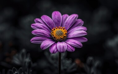 Obraz premium close up of flower