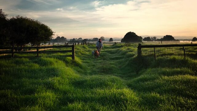 Woman with two dogs walking towards camera on a frosty morning at sunrise on a farm