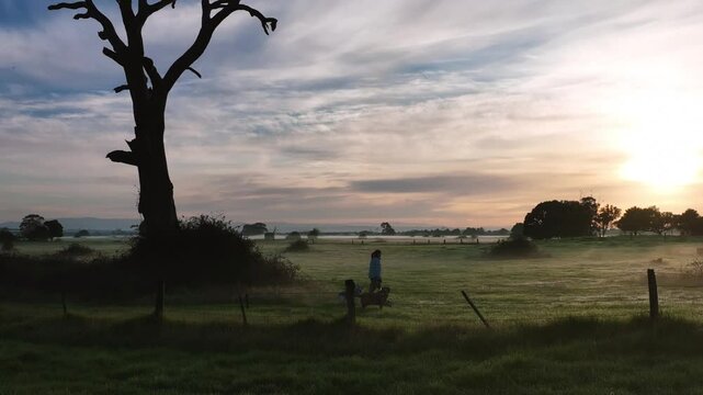 Camera pulls back to reveal an old dead tree at sunrise on a cold morning while a redheaded woman walks her dogs
