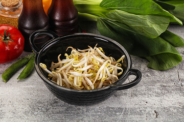 Soya bean sprouts in the bowl