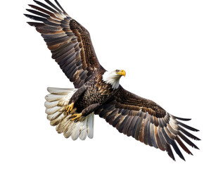 Naklejka premium Majestic bald eagle soaring in the sky with its wings spread wide, showcasing impressive feathers and powerful talons.