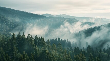 A Scenic Mountain Landscape View Of The Fog-Covered Black Forest In Germany