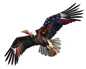 Stunning bald eagle in flight, wings painted with the American flag, symbolizing freedom and patriotism.