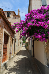 Fototapeta premium Scenes of Croatia