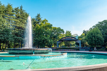 fountain in the park of the pool in japan
