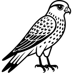 Kestrel vector silhouette 