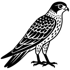 Kestrel vector silhouette 