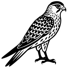 Kestrel vector silhouette 