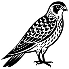 Kestrel vector silhouette 