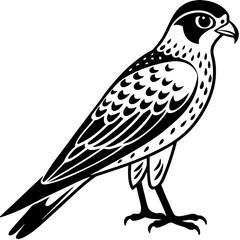 Kestrel vector silhouette 