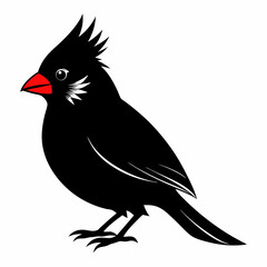 Cardinal silhouette on white background