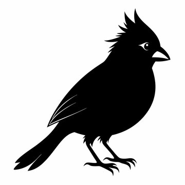recommend clip art: Cardinal silhouette on white background
