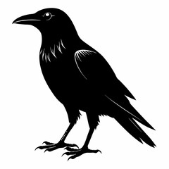 black crow silhouette  on white background