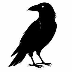 black crow silhouette  on white background