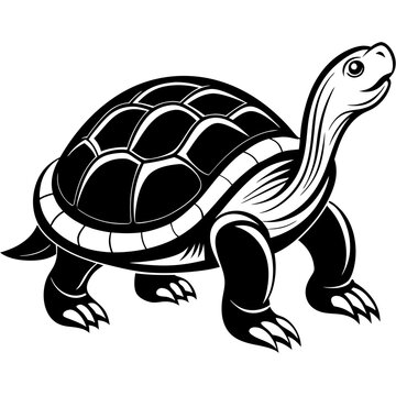 turtle vector illustration