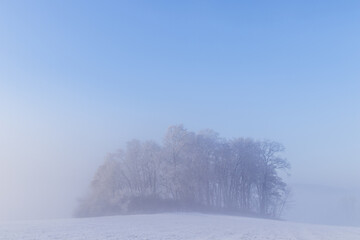Sunny winter landscape with snowy trees on the meadow. Background design concept with copy space