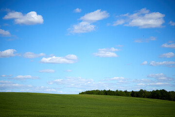 Horizon. Green field, blue sky and white clouds.